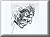 Expression (1988-1989)
